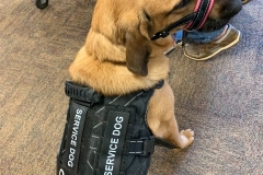 Photo-Mar-05-9-44-56-AM