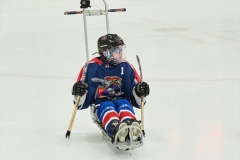 2024 Upstate STRIDE Sled Hockey Tournament Sponsored by Dralla