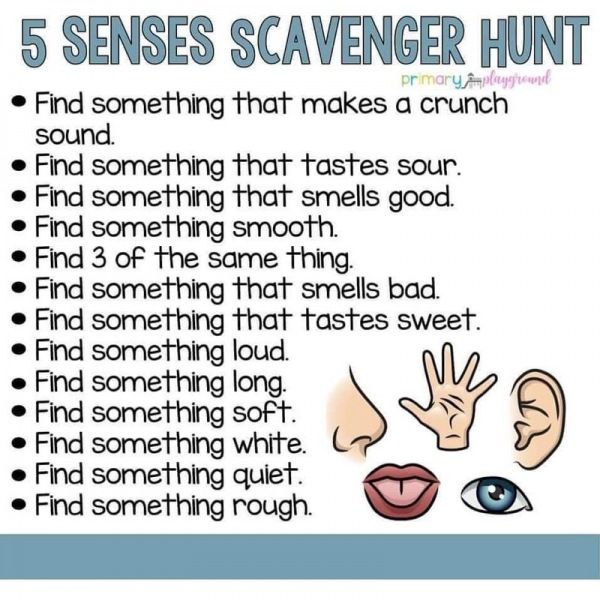 5-senses-scavenger-hunt